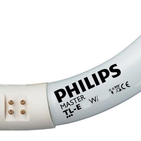 Fluorescent circular 22w/865 T-8 Philips